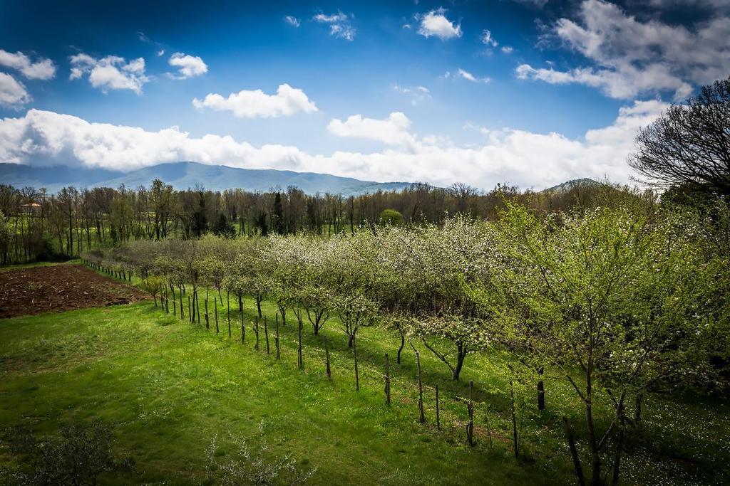 La Dolce Mela Villa Buonabitacolo Exteriör bild
